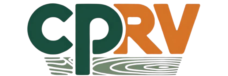 Logo de Paneles Reumén